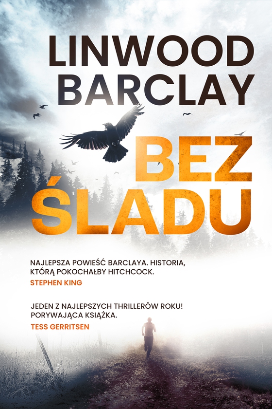 Bez śladu (e-bog) af Linwood Barclay