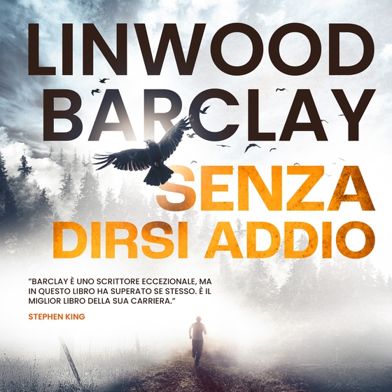 Senza dirsi addio (lydbog) af Linwood Barclay