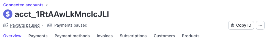 Stripe Connect Dashboard View - What partners can see in their Stripe dashboard when connected