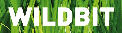 Wildbit logo represents blades of grass