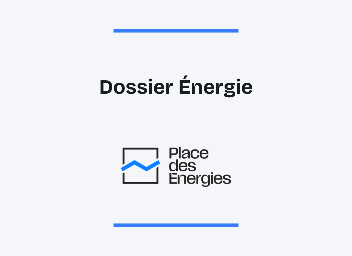 ELD et marché local de l’énergie : ce que les entreprises doivent savoir