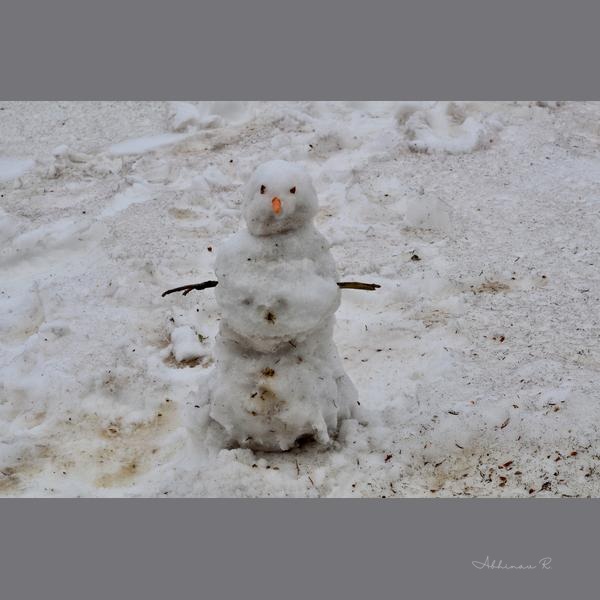 Whimsical Winter Wonderland - Winter Photography