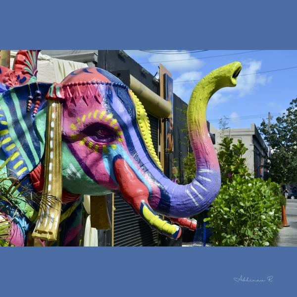 Florida Fiesta - Warm Tones Photography