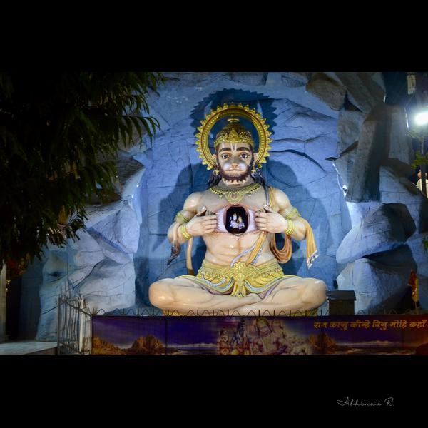 Devotion Embodied - Yellow Photography