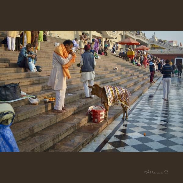 Sacred Rituals on the Ghats - Dining Room Wall Art