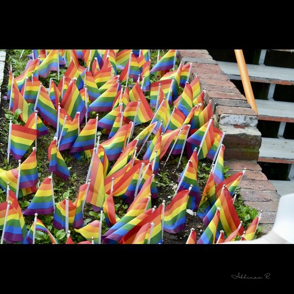 Sea of Rainbows - Pride Photography