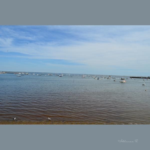 Provincetown Harbor - Dining Room Wall Art