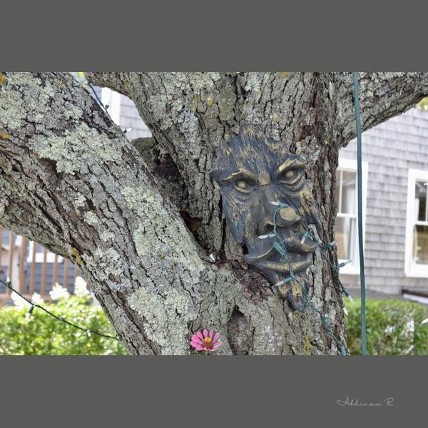Whimsical Tree Carving - Carnival Wall Art Prints