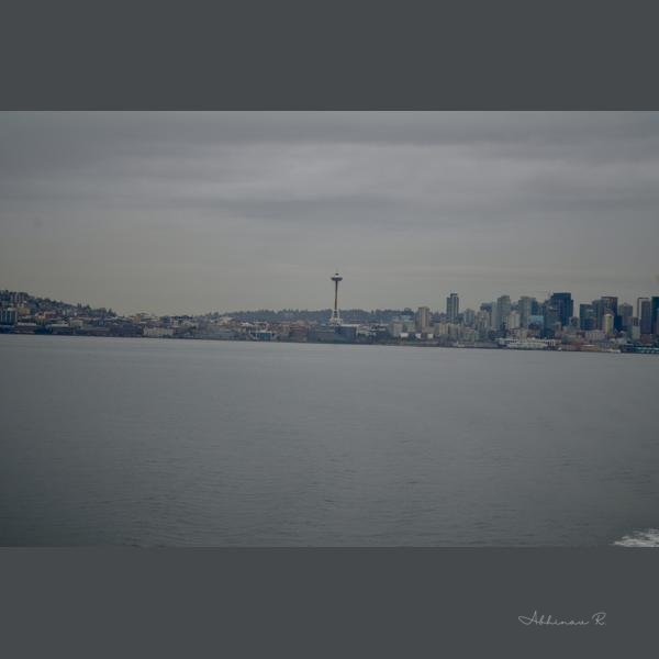 Seattle Skyline from the Water - Photography from Settle