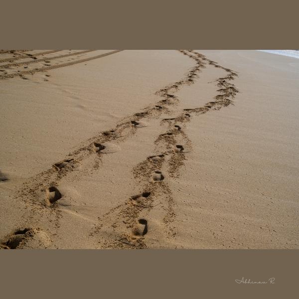 Footprints in the Sand - Oahu Wall Art Prints