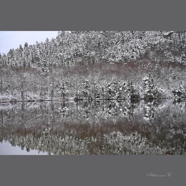 Snowy Trees and Lake - Winter Photography