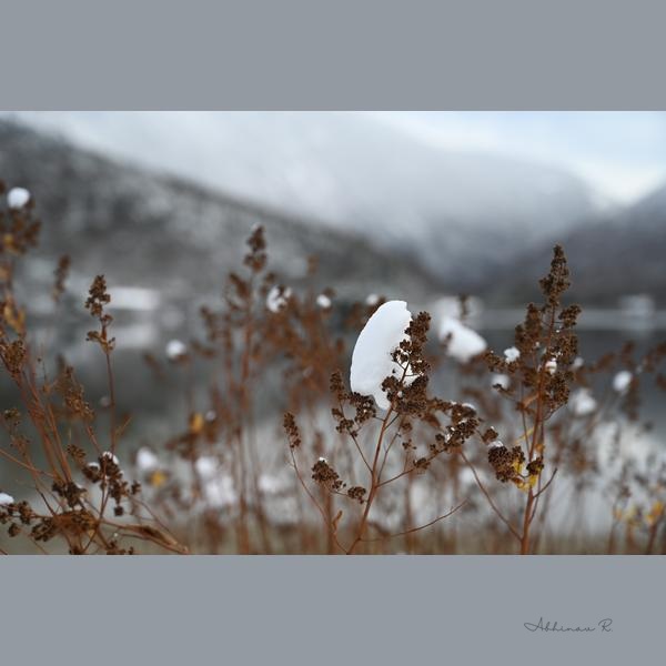 Lake View with Frosty Foreground - Winter Photography