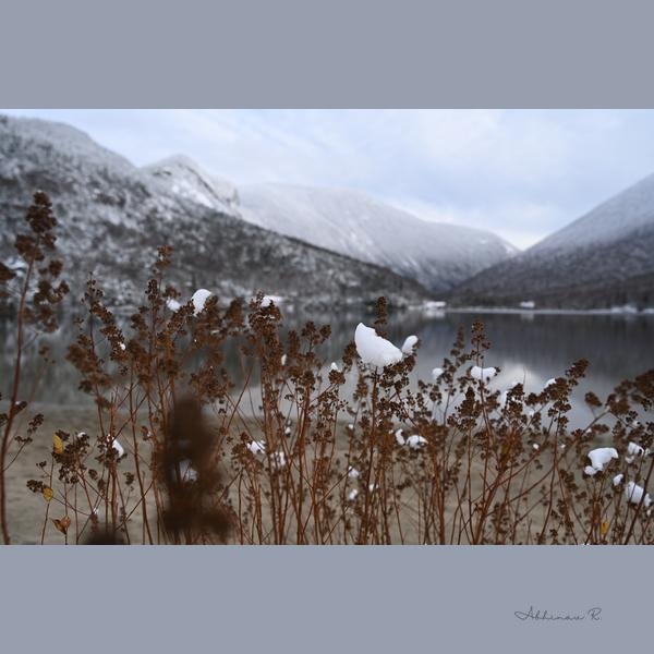 Winter Lake View - Winter Photography