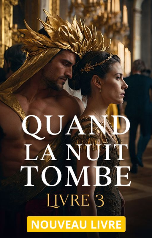 Quand la nuit tombe - Livre 3 - Couverture du livre