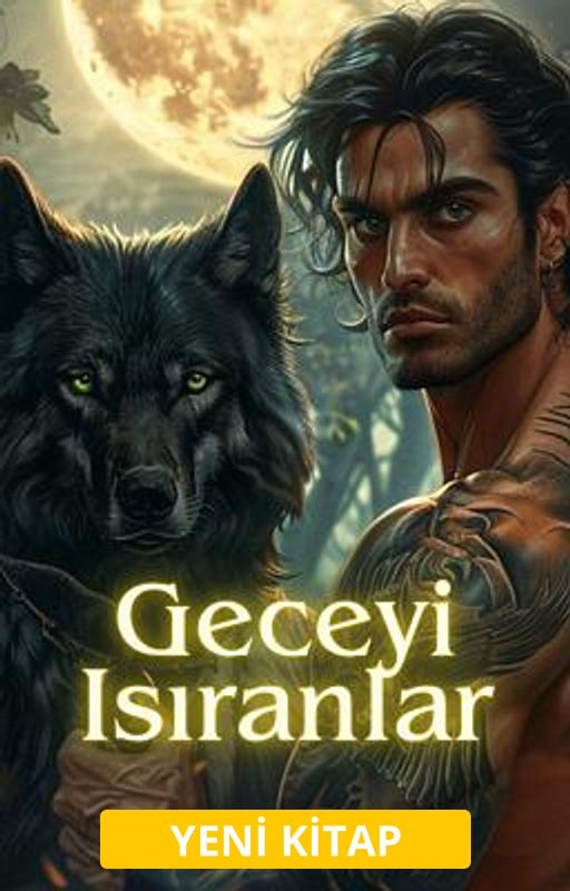 Geceyi Isıranlar - Kitap kapağı