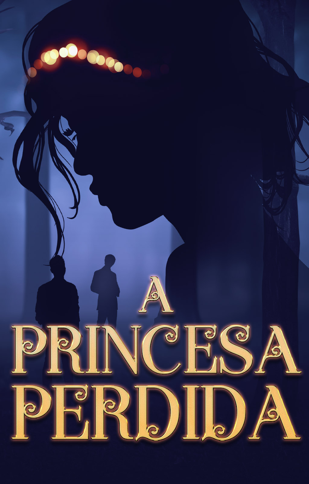 A Princesa Perdida - Capa do livro