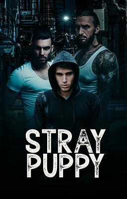 Stray Puppy - Book cover