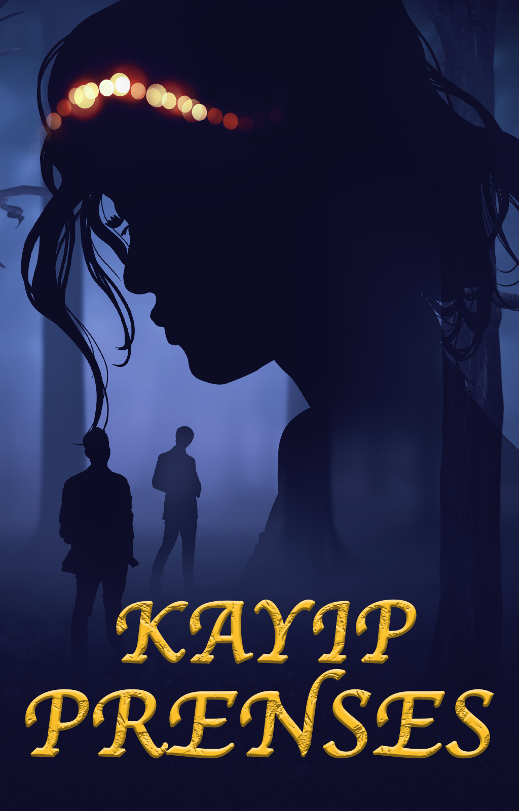 Kayıp Prenses - Kitap kapağı