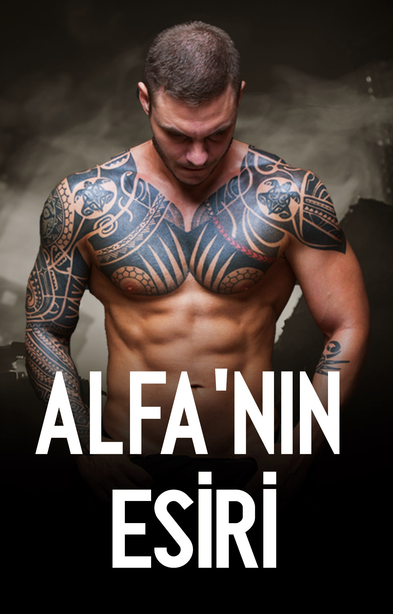 Alfa'nın Esiri - Kitap kapağı