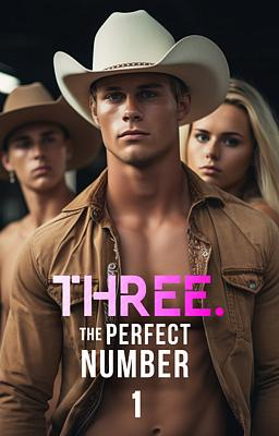 Three. The Perfect Number - Book cover