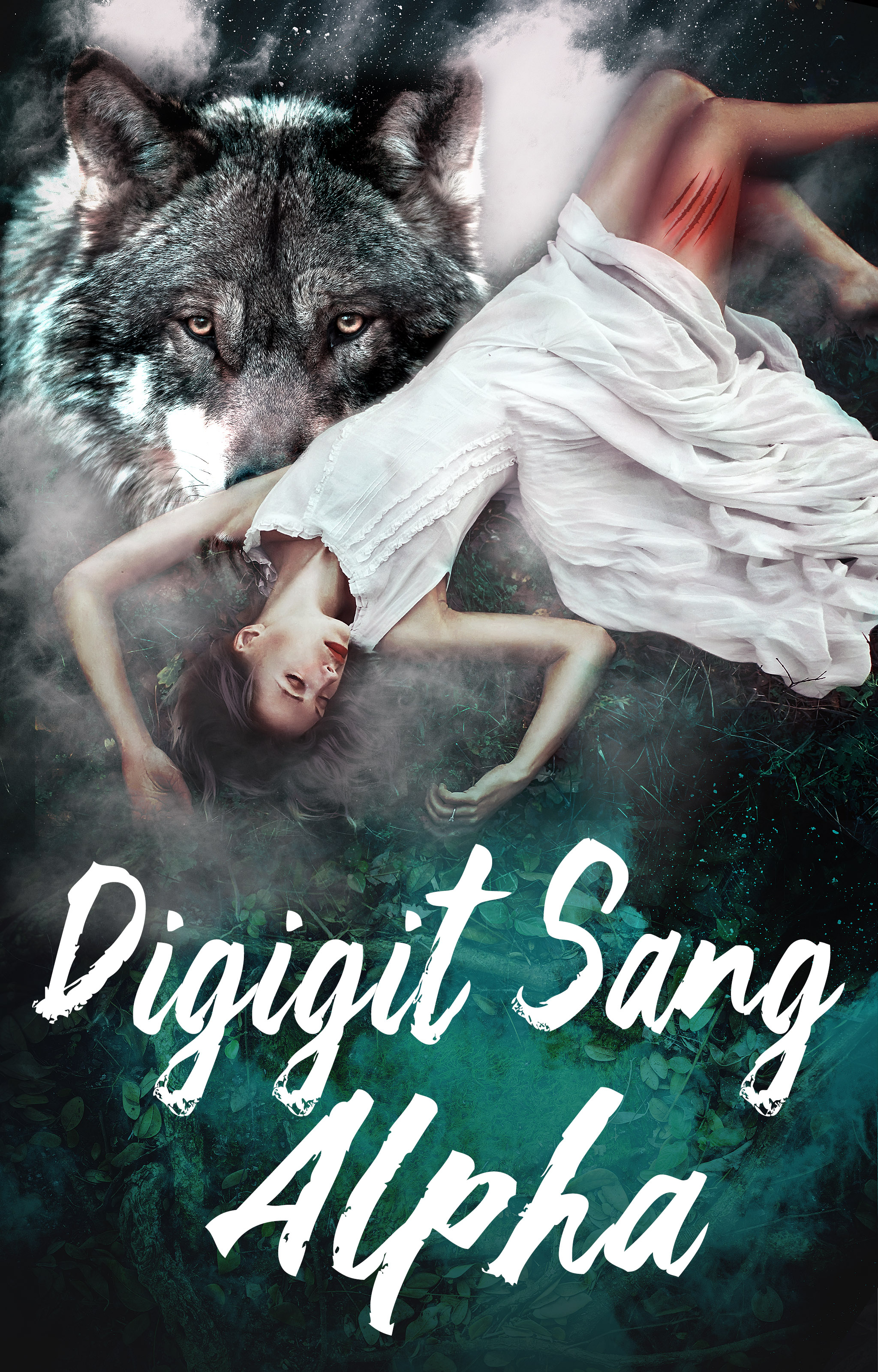 Digigit Sang Alpha - Book cover