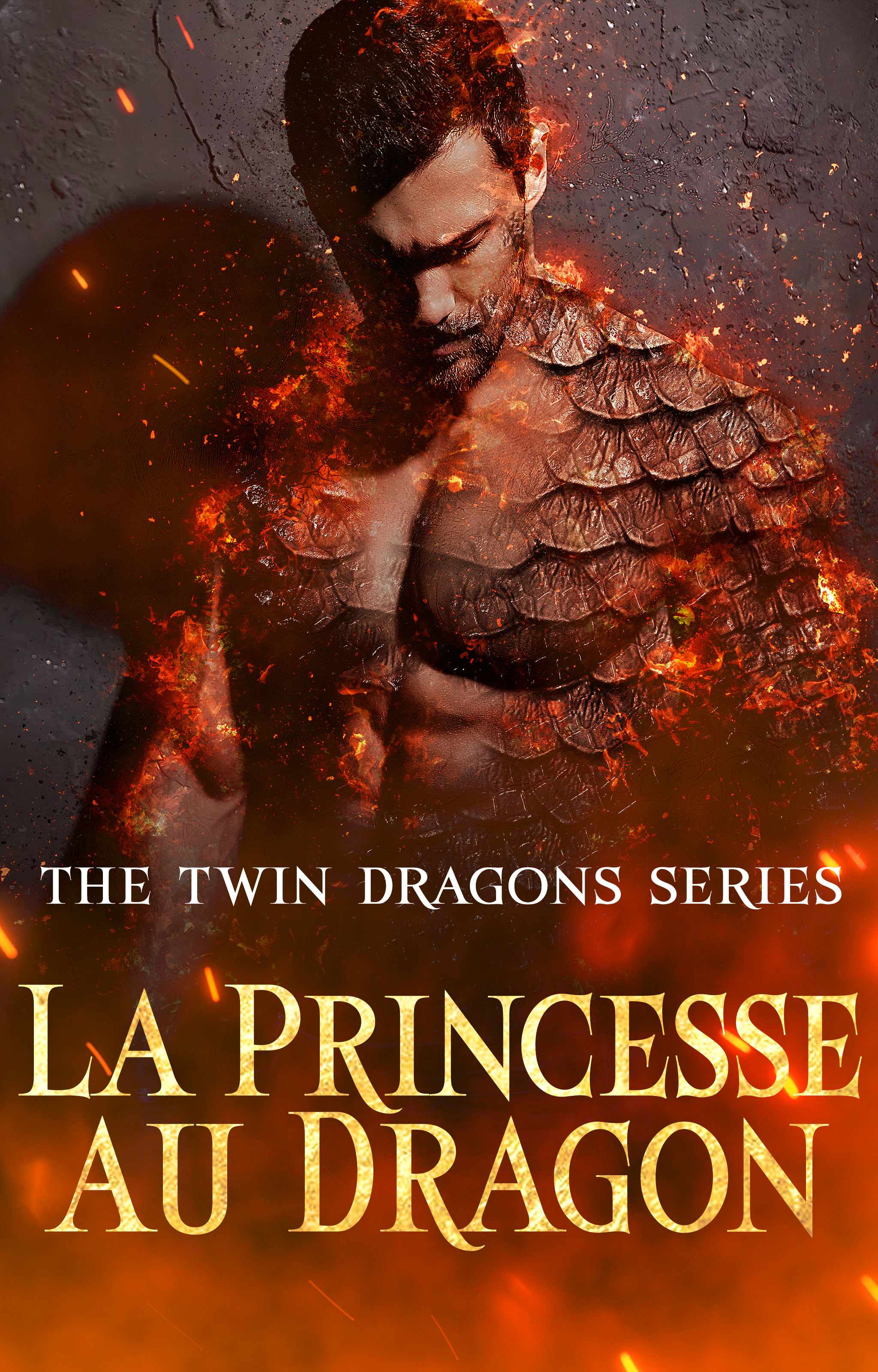 La Princesse au Dragon - Couverture du livre