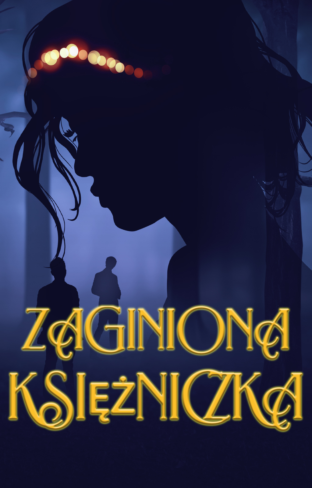 Zaginiona księżniczka - Okładka książki