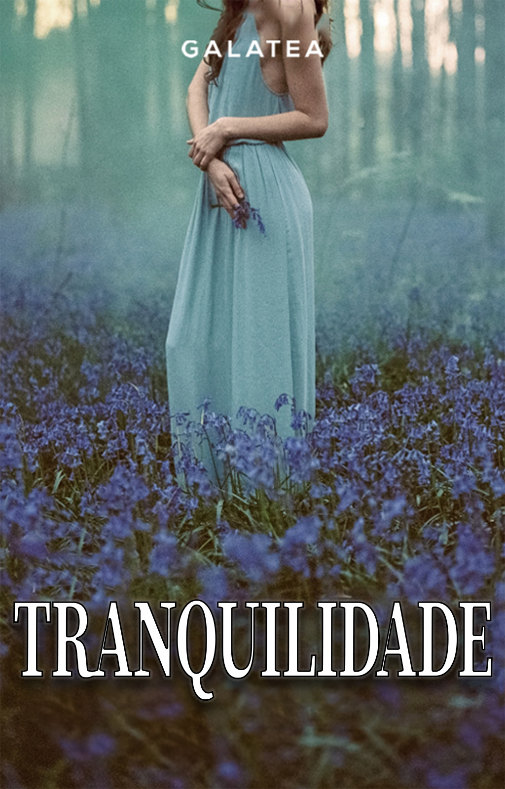 Tranquilidade - Capa do livro