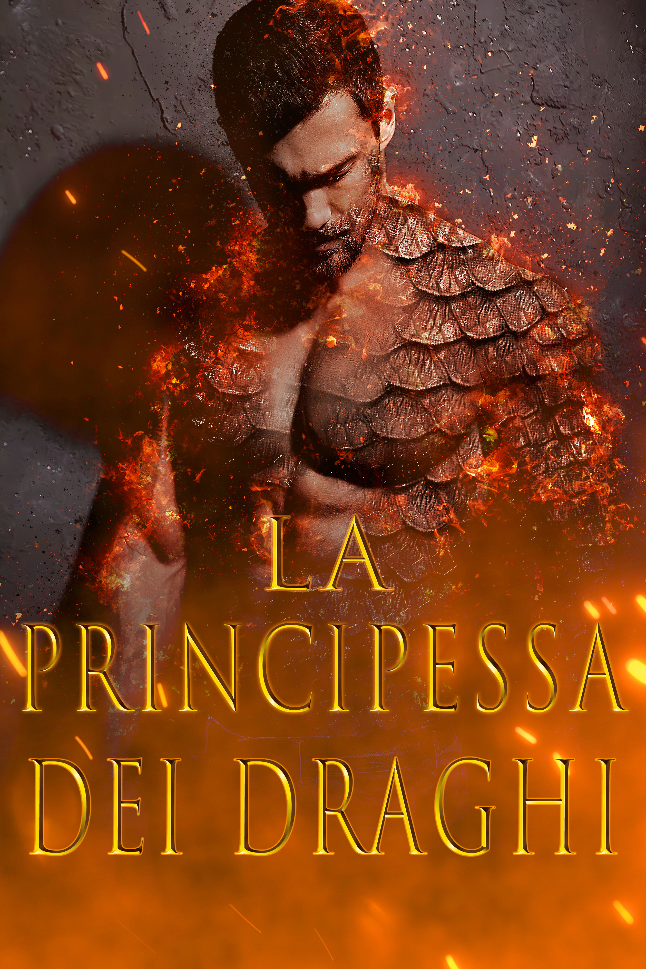 La principessa dei draghi - Copertina