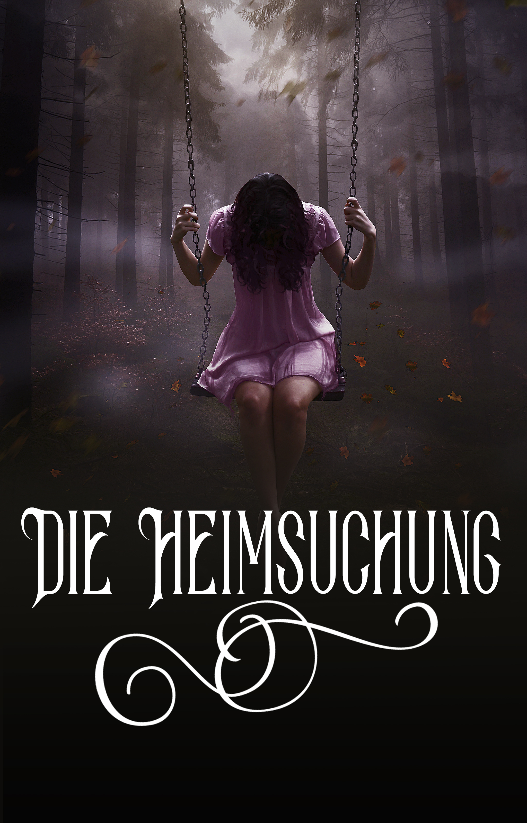 Die Heimsuchung - Buchumschlag