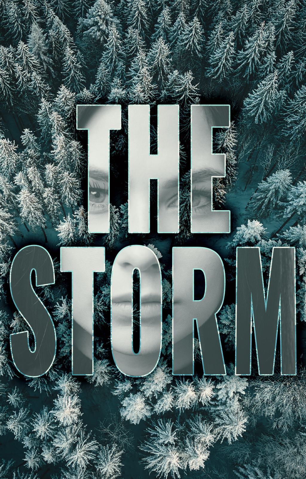 The Storm - Book cover