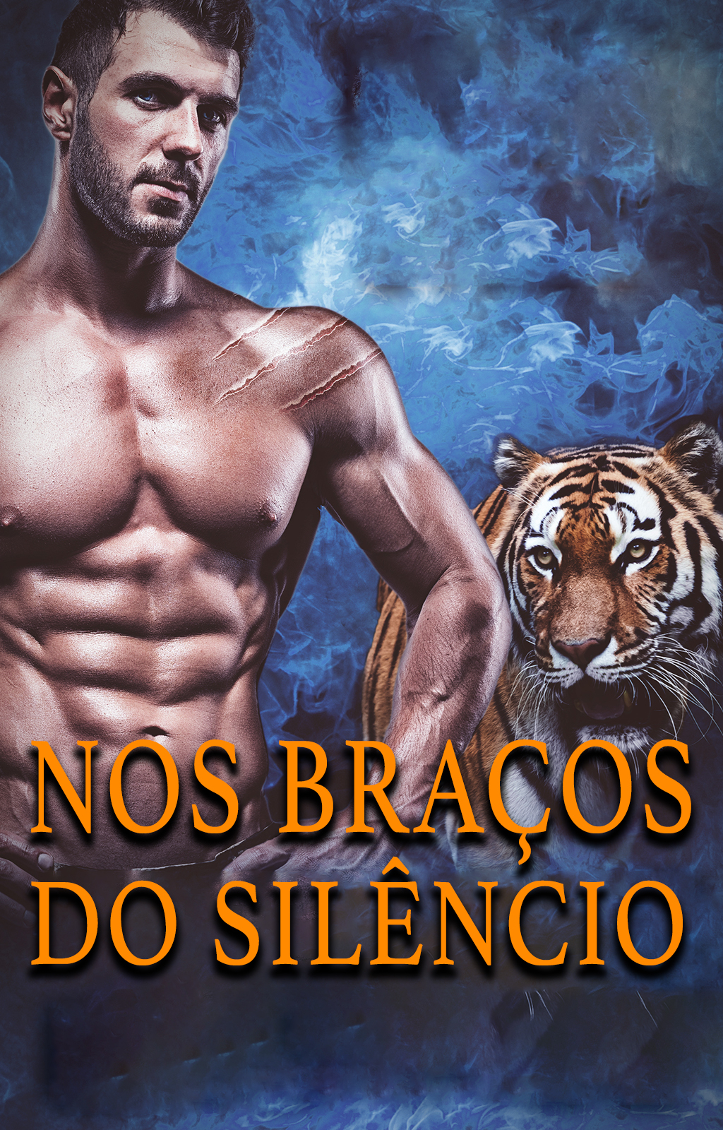 Nos Braços do Silêncio - Capa do livro