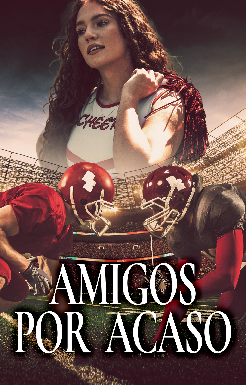 Amigos por Acaso - Capa do livro