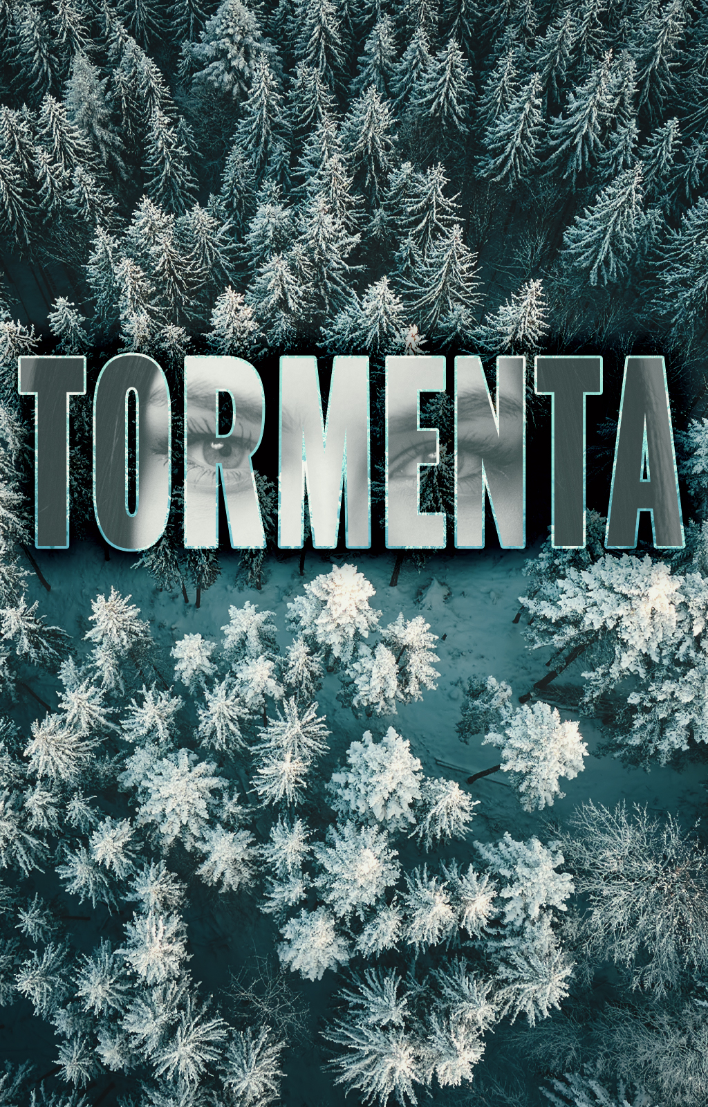 Tormenta - Capa do livro