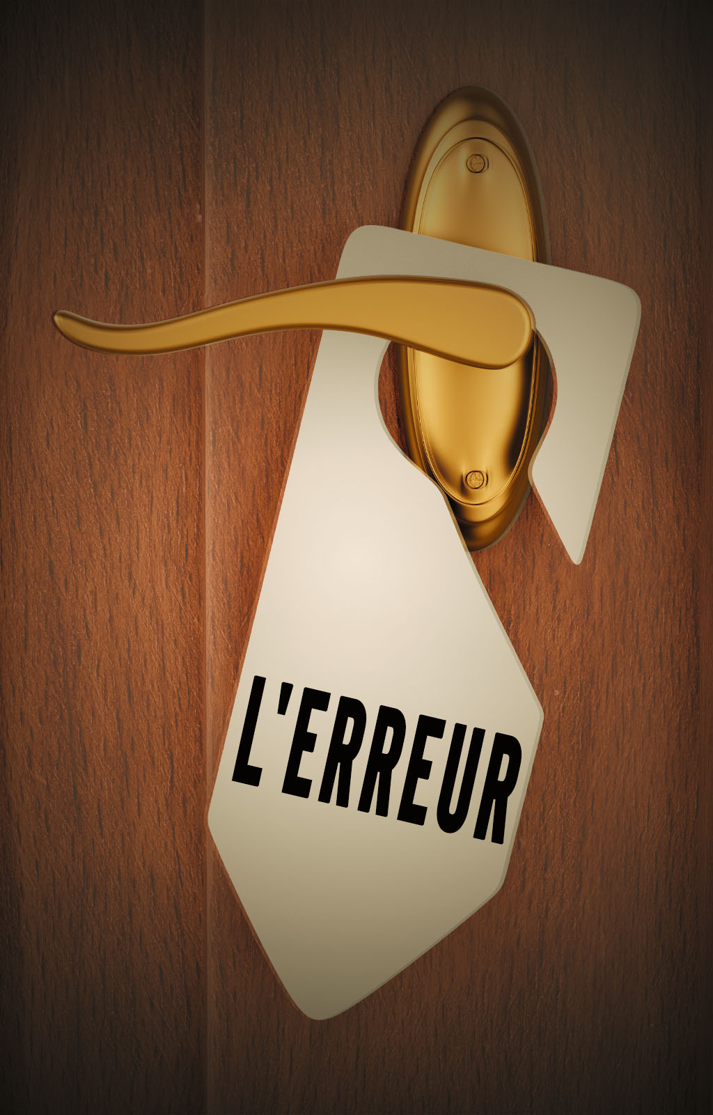 L'Erreur - Couverture du livre