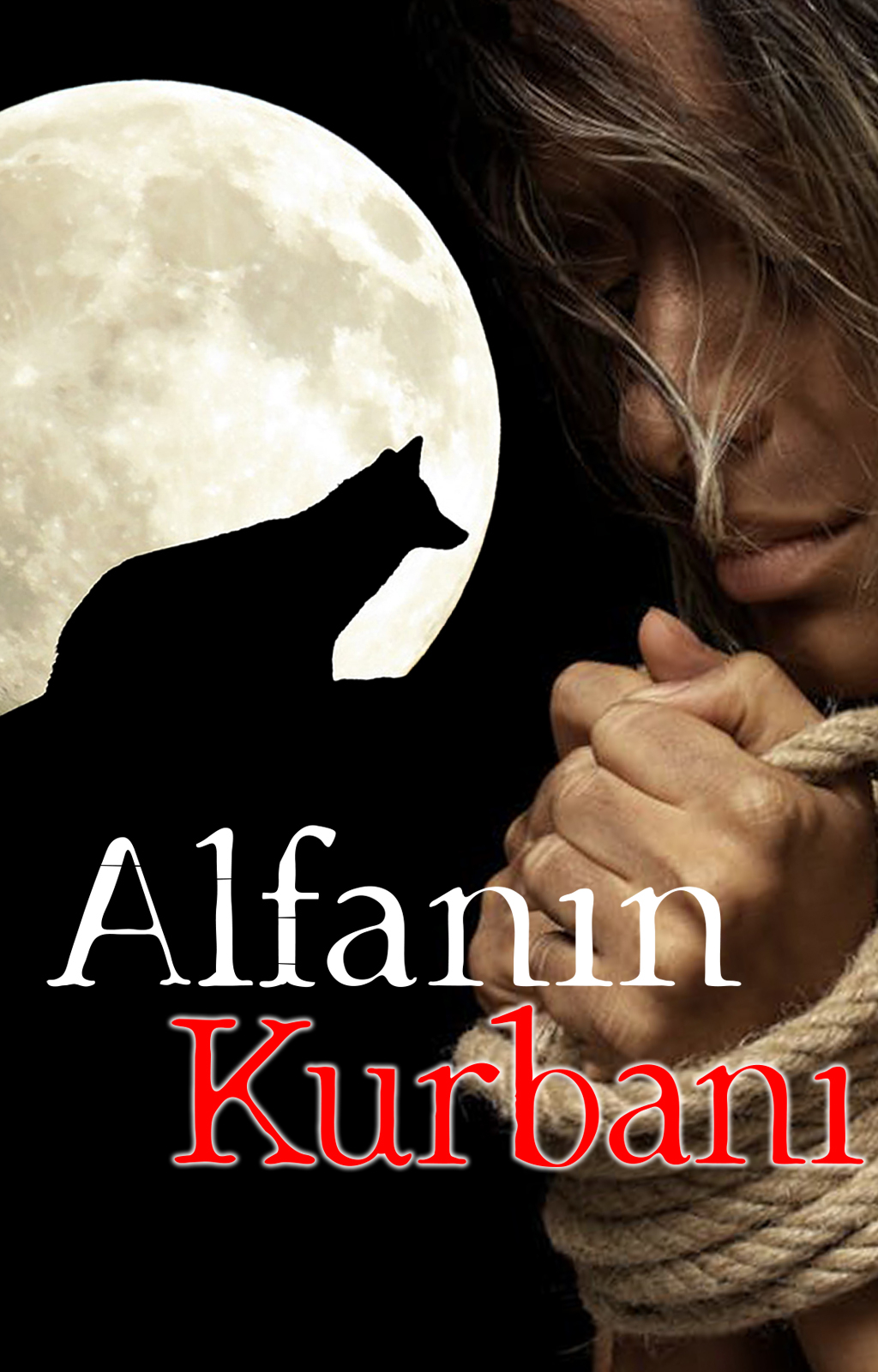 Alfa'nın Kurbanı - Kitap kapağı