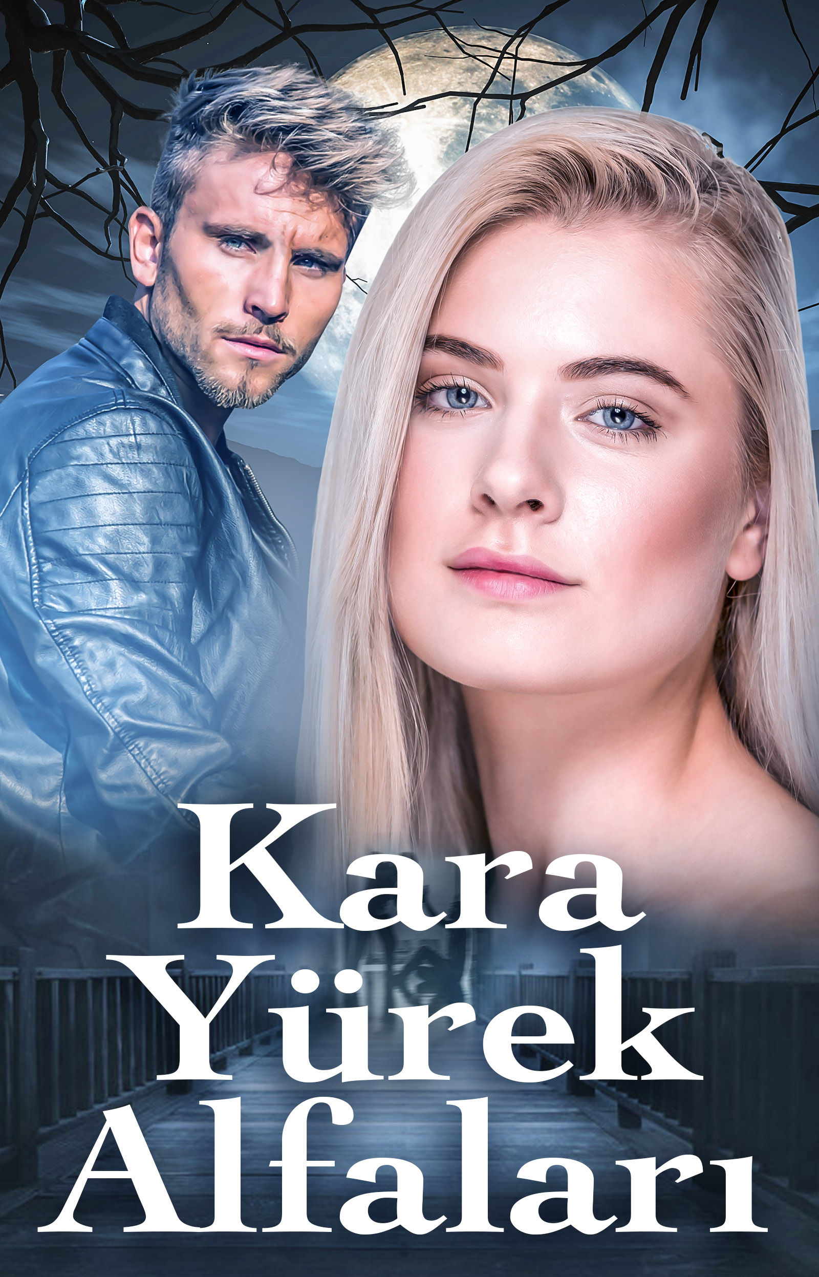 Kara Yürek Alfaları - Kitap kapağı