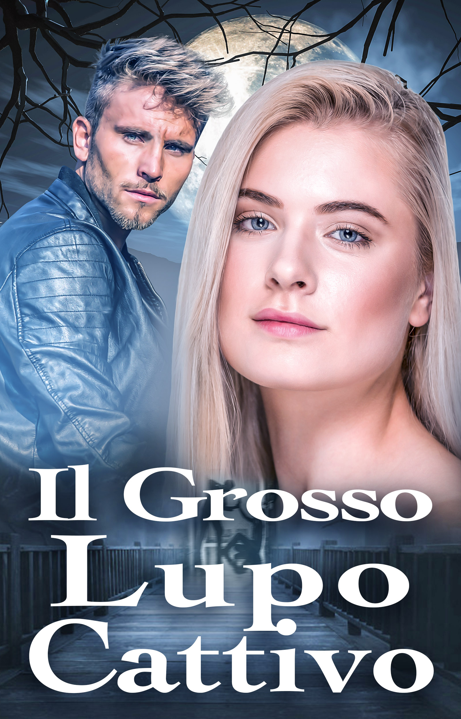 Il grosso lupo cattivo - Copertina