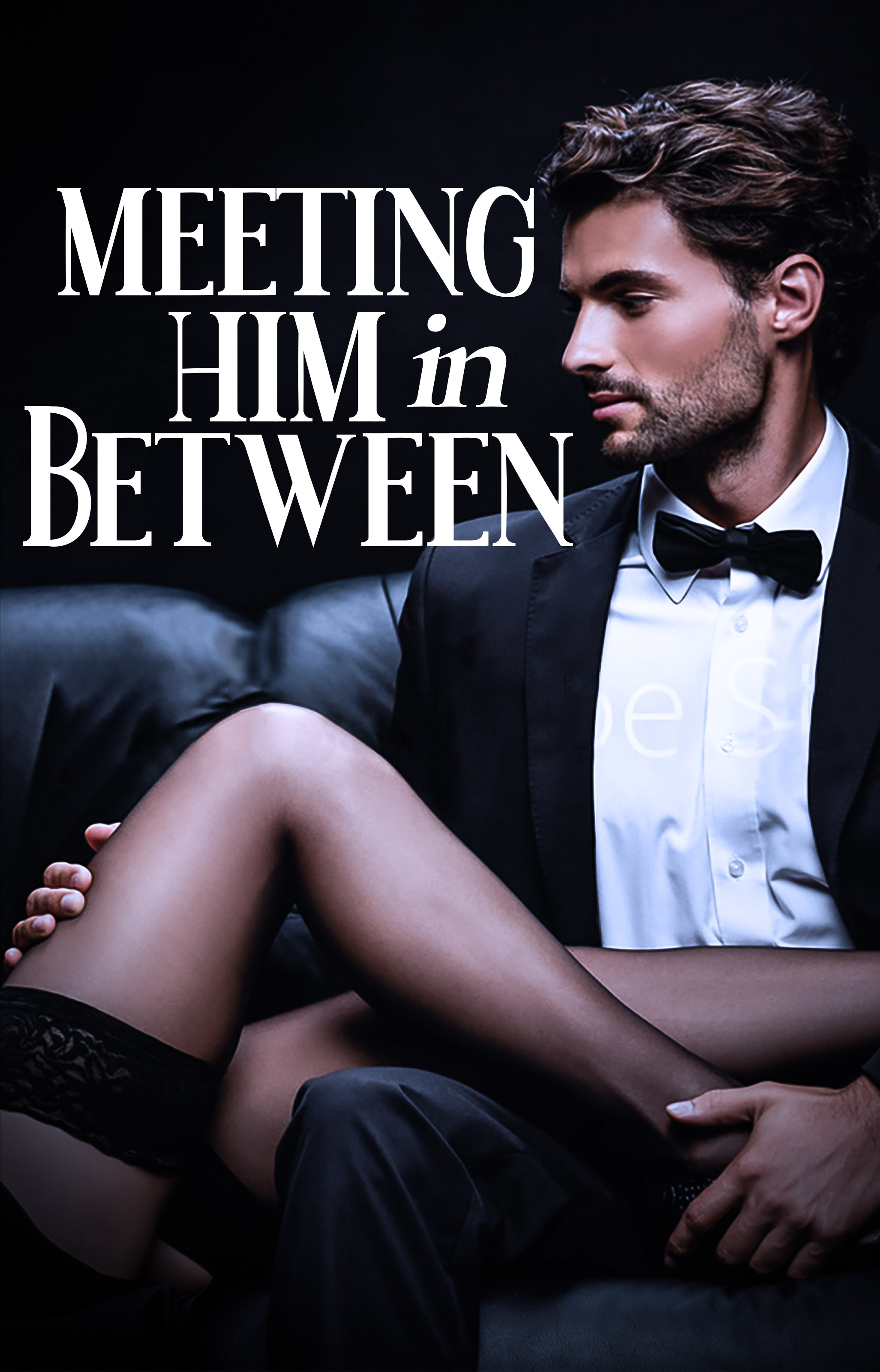 Meeting Him in Between - Book cover