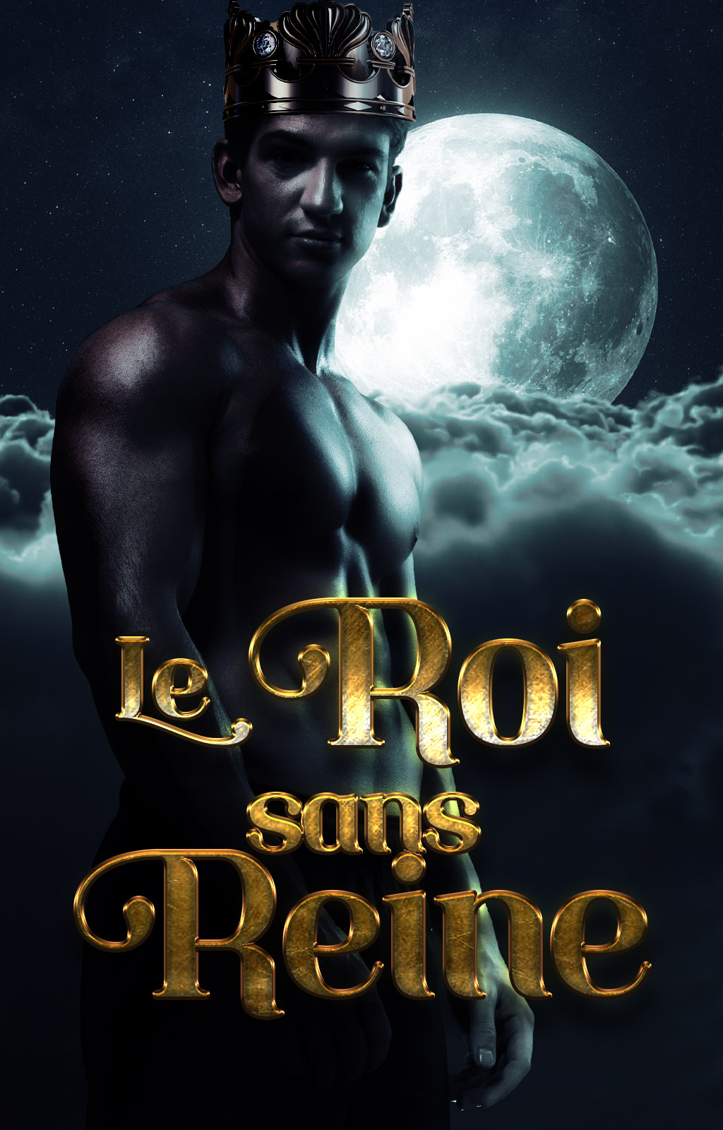 Le Roi sans Reine - Couverture du livre