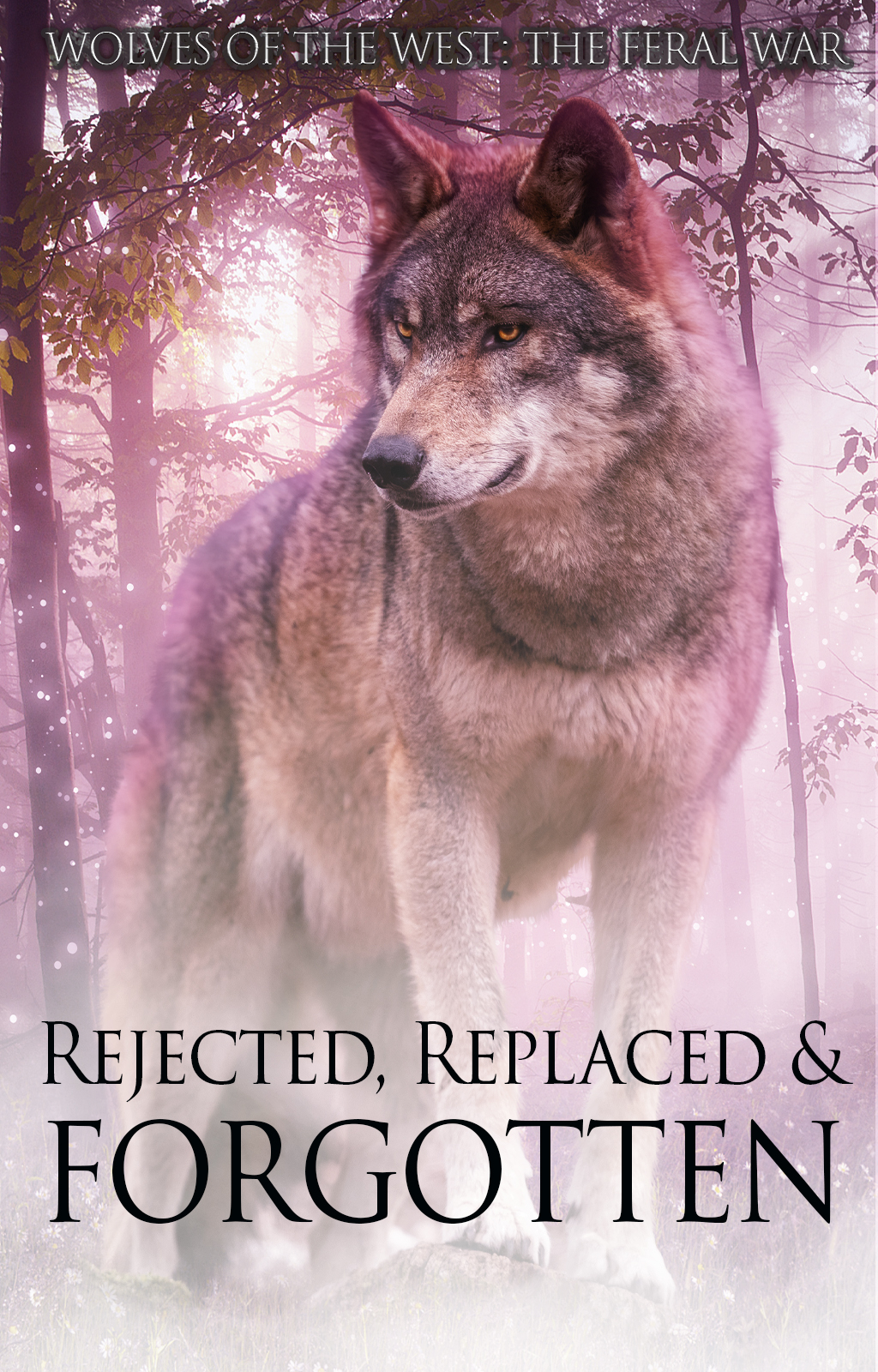 Rejected, Replaced, & Forgotten - Book cover