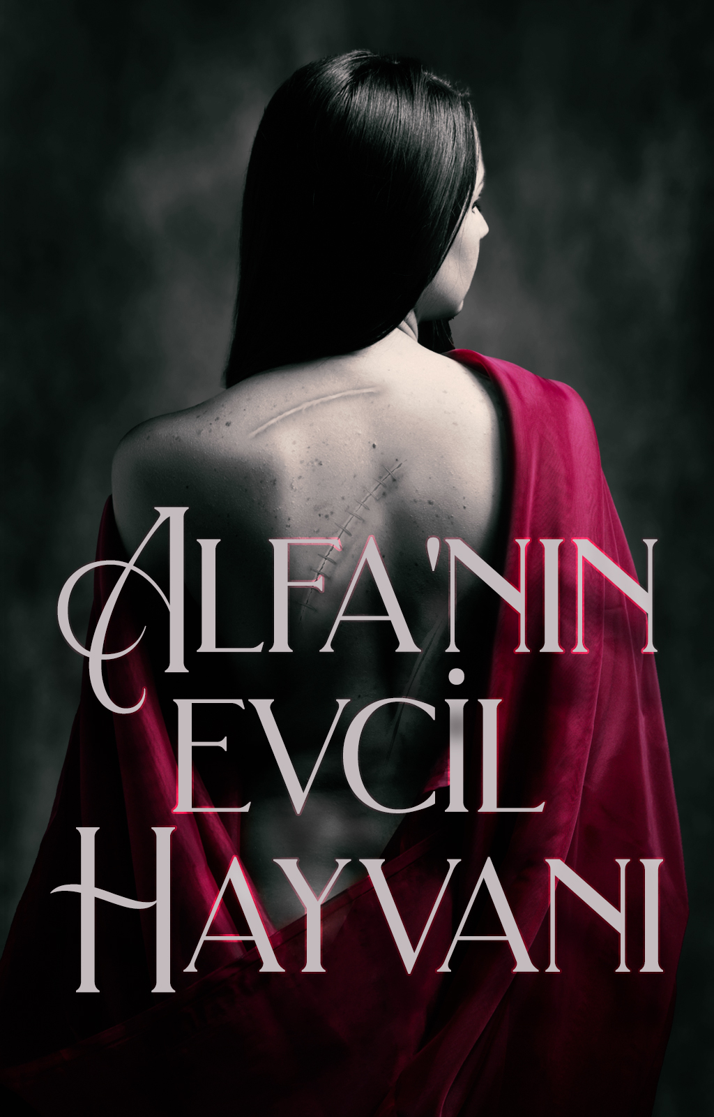 Alfa'nın Evcil Hayvanı - Kitap kapağı