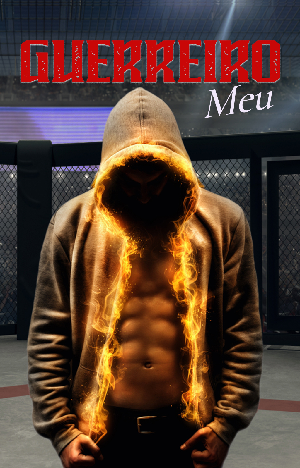 Guerreiro Meu - Capa do livro