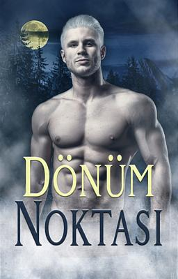 Dönüm Noktası - Kitap kapağı