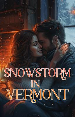 Snowstorm in Vermont - Book cover