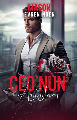 Ceo'nun Asistanı - Kitap kapağı