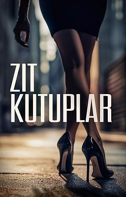 Zıt Kutuplar - Kitap kapağı