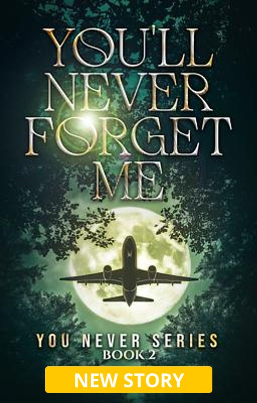 You Never Series Book 2: You'll Never Forget Me - Book cover