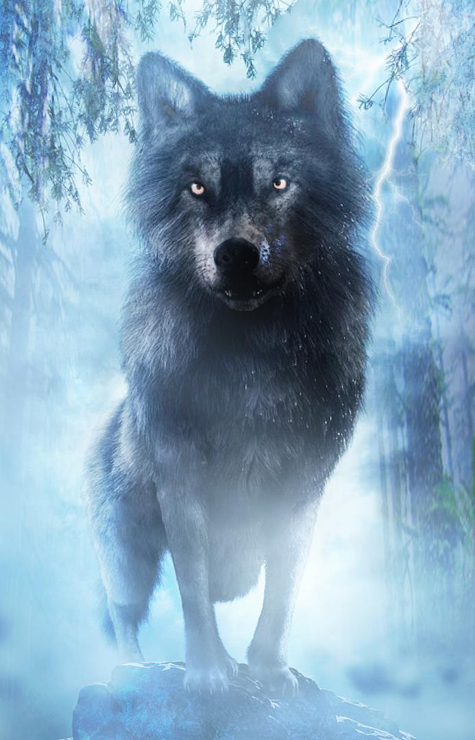 Wolves of the West - Book cover