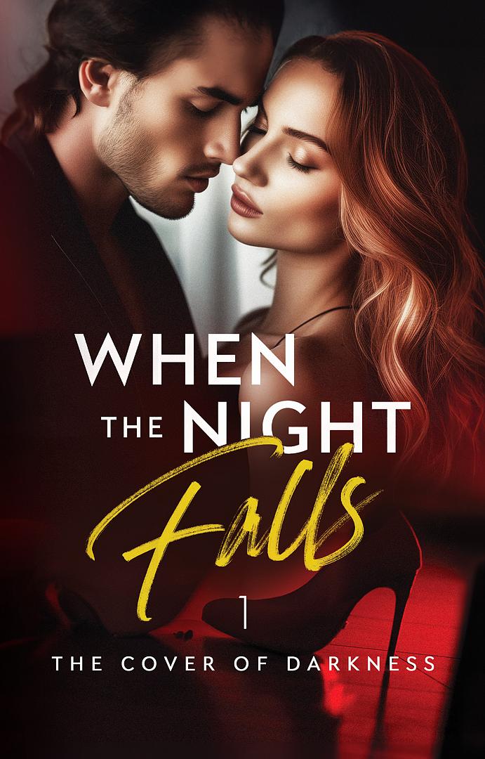 When the Night Falls - Book cover